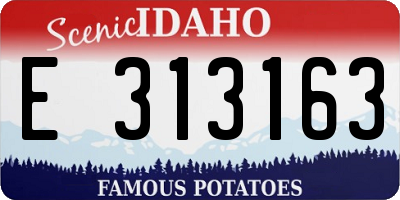 ID license plate E313163