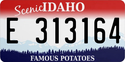 ID license plate E313164