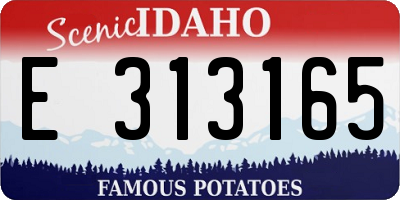 ID license plate E313165