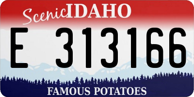 ID license plate E313166