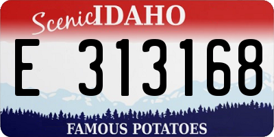 ID license plate E313168