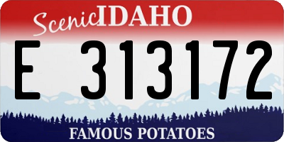 ID license plate E313172