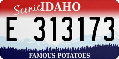ID license plate E313173