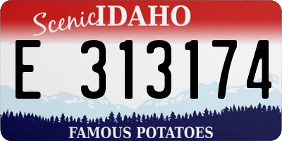 ID license plate E313174