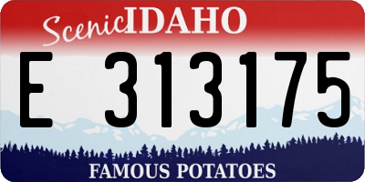 ID license plate E313175