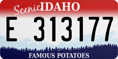 ID license plate E313177