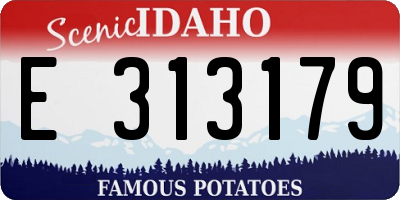ID license plate E313179