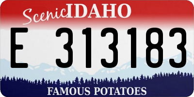 ID license plate E313183