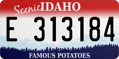 ID license plate E313184