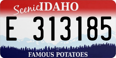 ID license plate E313185