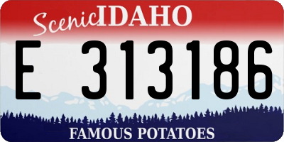 ID license plate E313186