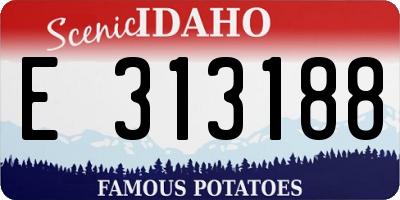 ID license plate E313188