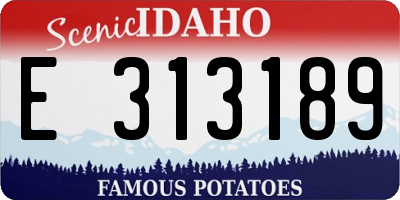 ID license plate E313189