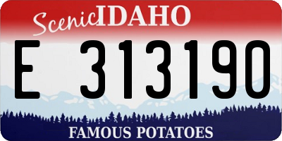 ID license plate E313190