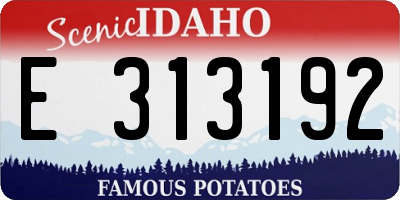 ID license plate E313192