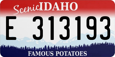 ID license plate E313193
