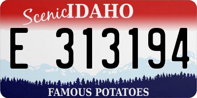 ID license plate E313194