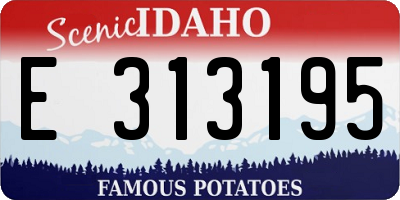 ID license plate E313195