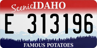 ID license plate E313196