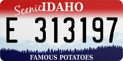 ID license plate E313197