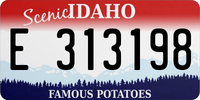 ID license plate E313198