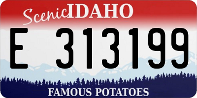 ID license plate E313199