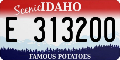 ID license plate E313200