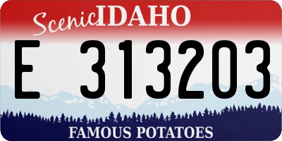 ID license plate E313203