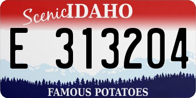 ID license plate E313204