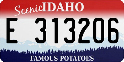ID license plate E313206