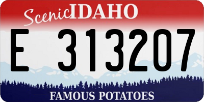 ID license plate E313207