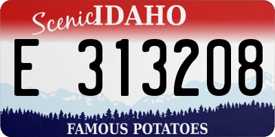 ID license plate E313208