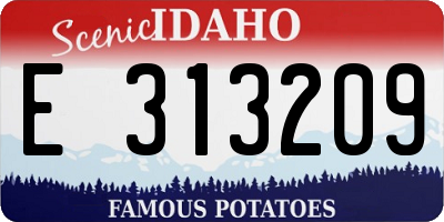 ID license plate E313209