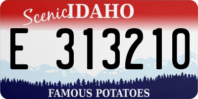 ID license plate E313210