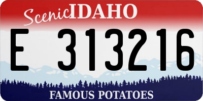 ID license plate E313216