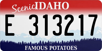 ID license plate E313217