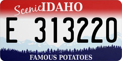 ID license plate E313220