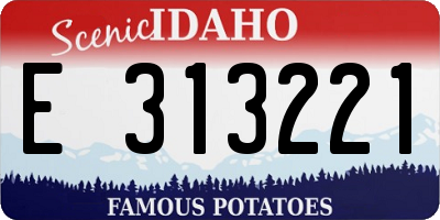 ID license plate E313221