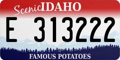 ID license plate E313222