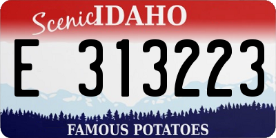 ID license plate E313223