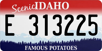 ID license plate E313225