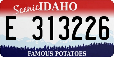 ID license plate E313226