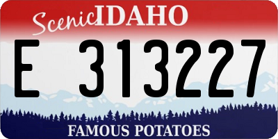 ID license plate E313227