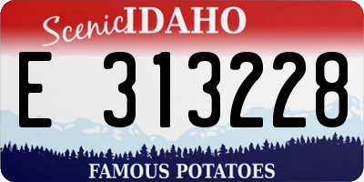 ID license plate E313228