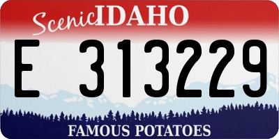 ID license plate E313229