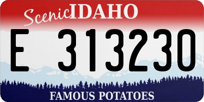 ID license plate E313230