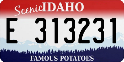 ID license plate E313231