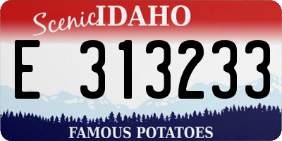 ID license plate E313233