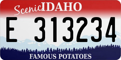 ID license plate E313234