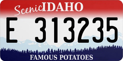 ID license plate E313235